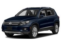 2014 Volkswagen Tiguan 4MOTION 4dr Auto Trendline Night Blue Metallic  Shot 34