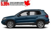 2017 Volkswagen Tiguan 4MOTION 4dr Comfortline Pacific Blue  Shot 5