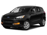 2013 Ford Escape 4WD 4dr SEL Tuxedo Black  Shot 4