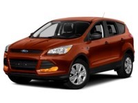 2015 Ford Escape 4WD 4dr SE Sunset  Shot 13