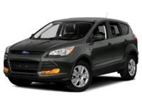 2016 Ford Escape FWD 4dr SE Magnetic Metallic  Shot 4