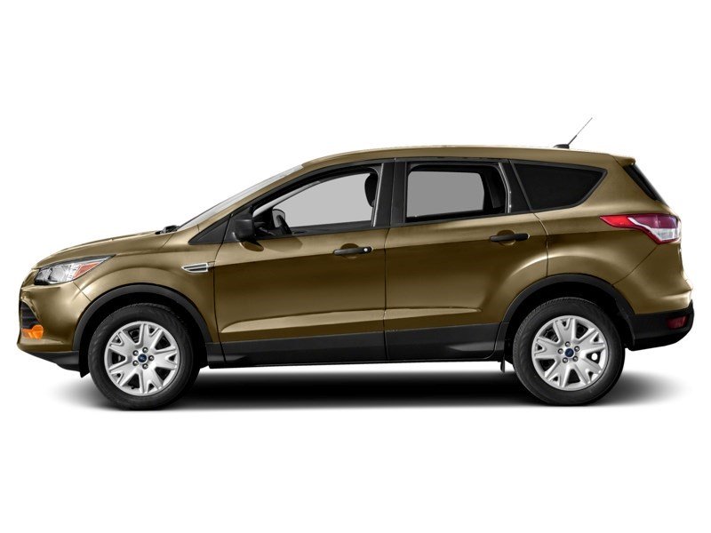 2015 Ford Escape 4WD 4dr SE Karat Gold  Shot 9
