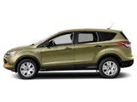 2013 Ford Escape FWD 4dr SE Ginger Ale Metallic  Shot 21