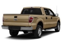 2013 Ford F-150 4WD SuperCrew 145" XLT Pale Adobe Metallic  Shot 20