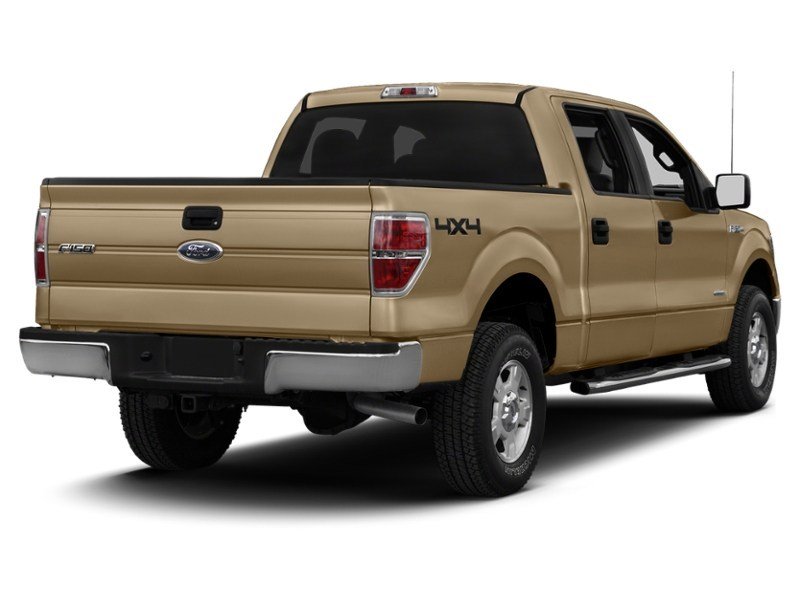 2013 Ford F-150 4WD SuperCrew 145" XLT Pale Adobe Metallic  Shot 24