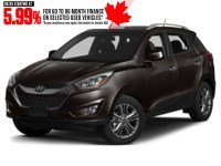 2014 Hyundai Tucson FWD 4dr Auto GL Kona Bronze Metallic  Shot 28