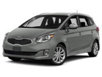 2014 Kia Rondo 4dr Wgn Auto EX Titanium Silver Metallic  Shot 10