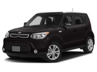 2015 Kia Soul 5dr Wgn Auto EX Onyx Pearl  Shot 19