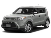 2015 Kia Soul 5dr Wgn Auto EX Titanium Metallic  Shot 43