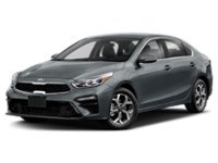2021 Kia Forte EX IVT Urban Grey  Shot 14