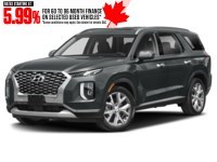 2020 Hyundai Palisade Luxury 7-Passenger AWD Steel Graphite  Shot 1