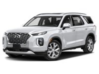 2020 Hyundai Palisade Luxury 7-Passenger AWD Hyper White  Shot 1