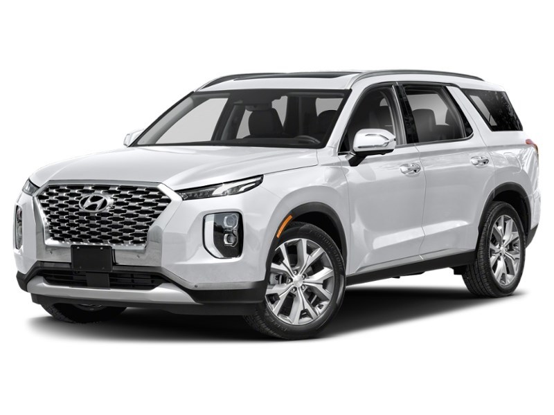 2020 Hyundai Palisade Luxury 7-Passenger AWD Hyper White  Shot 4