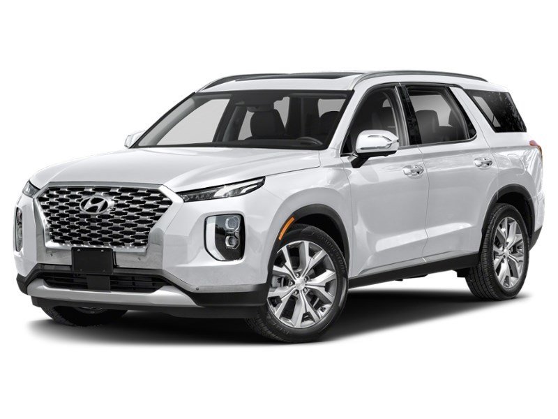 2020 Hyundai Palisade Luxury 7-Passenger AWD Hyper White  Shot 4