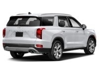 2020 Hyundai Palisade Luxury 7-Passenger AWD Hyper White  Shot 2