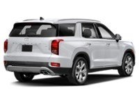 2020 Hyundai Palisade Luxury 7-Passenger AWD Hyper White  Shot 6