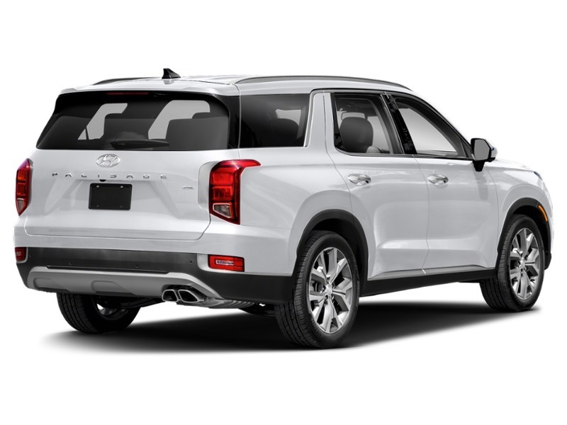 2020 Hyundai Palisade Luxury 7-Passenger AWD Hyper White  Shot 2