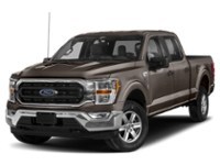2023 Ford F-150 XLT 4WD SuperCrew 5.5' Box Stone Grey Metallic  Shot 19