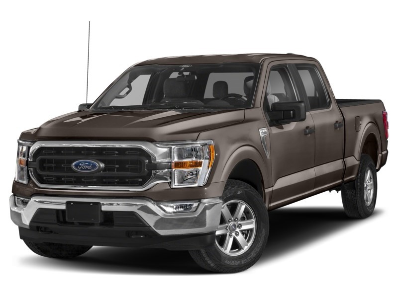 2021 Ford F-150 XLT 4WD SuperCrew 5.5' Box Stone Grey Metallic  Shot 1