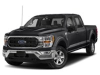 2023 Ford F-150 XLT 4WD SuperCrew 5.5' Box Agate Black Metallic  Shot 57