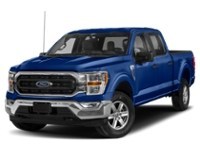 2023 Ford F-150 XLT 4WD SuperCrew 5.5' Box