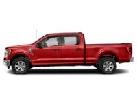 2023 Ford F-150 XLT 4WD SuperCrew 5.5' Box Race Red  Shot 55