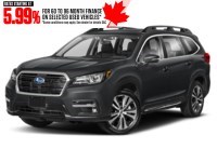 2021 Subaru Ascent Limited 8-Passenger Magnetite Grey Metallic  Shot 31