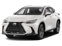 2022 Lexus NX 250 NX 250 AWD