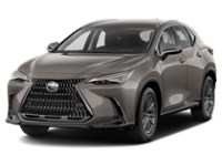 2022 Lexus NX 250 NX 250 AWD Atomic Silver  Shot 5