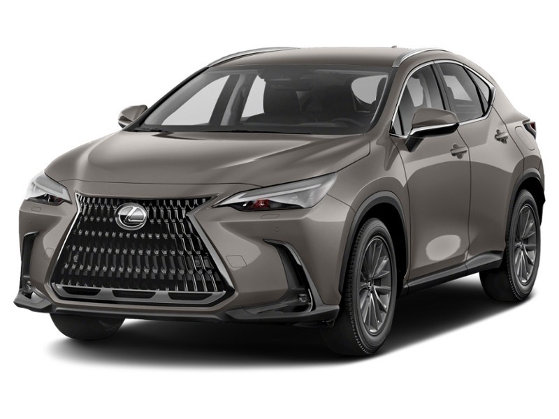 2022 Lexus NX 250 NX 250 AWD Atomic Silver  Shot 7