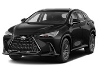 2022 Lexus NX 250 NX 250 AWD Caviar  Shot 11