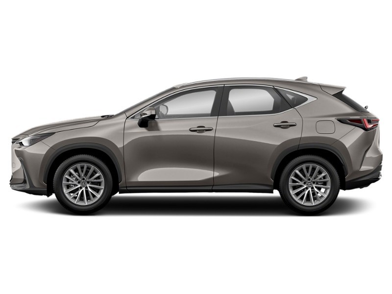 2022 Lexus NX 250 NX 250 AWD Atomic Silver  Shot 6