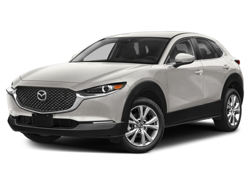2023 Mazda CX-30 GS AWD Platinum Quartz Metallic  Shot 30