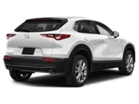 2023 Mazda CX-30 GS AWD Snowflake White Pearl  Shot 12