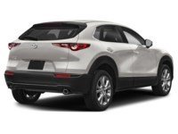 2024 Mazda CX-30 GS AWD Platinum Quartz Metallic  Shot 28