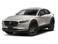 2023 Mazda CX-30 GT w/Turbo AWD Platinum Quartz Metallic  Shot 33