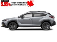 2024 Subaru Crosstrek Onyx AWD Ice Silver Metallic  Shot 5