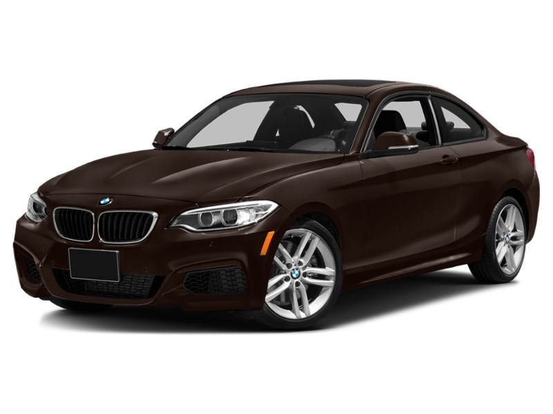 2015 BMW 228 2dr Cpe 228i RWD Sparkling Brown Metallic  Shot 67