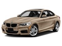 2015 BMW 228 2dr Cpe 228i RWD Moonlight Silver Metallic  Shot 73