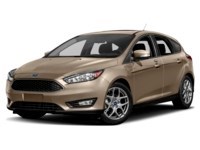 2018 Ford Focus SEL Hatch White Gold  Shot 10