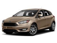 2018 Ford Focus SEL Hatch White Gold  Shot 10