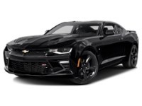 2017 Chevrolet Camaro 2dr Cpe 1SS Mosaic Black Metallic  Shot 10