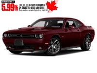 2017 Dodge Challenger 2dr Cpe R/T Shaker Octane Red  Shot 31