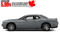 2017 Dodge Challenger 2dr Cpe R/T Shaker Billet Metallic  Shot 18