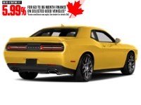 2017 Dodge Challenger 2dr Cpe R/T Shaker Yellow Jacket  Shot 38
