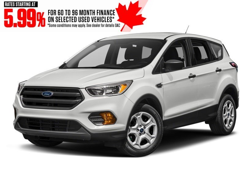 2019 Ford Escape SE 4WD Oxford White  Shot 4