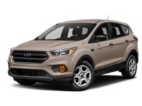 2017 Ford Escape FWD 4dr SE White Gold  Shot 4