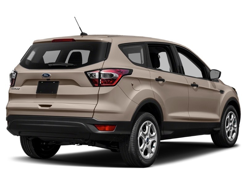 2017 Ford Escape FWD 4dr SE White Gold  Shot 6