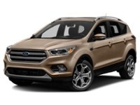 2017 Ford Escape 4WD 4dr Titanium White Gold  Shot 4