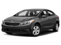 2017 Kia Forte 4dr Sdn Auto LX Urban Grey Metallic  Shot 31